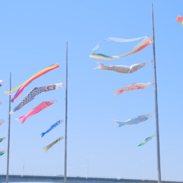 大きな空を泳ぐ、こいのぼり🎏✨