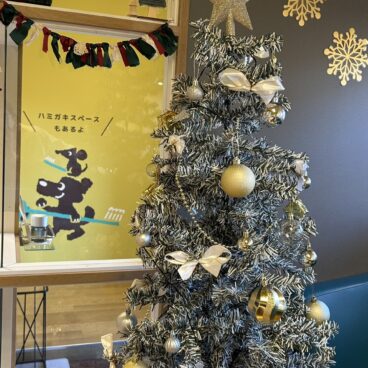 クリスマスツリーを飾りました🎄
